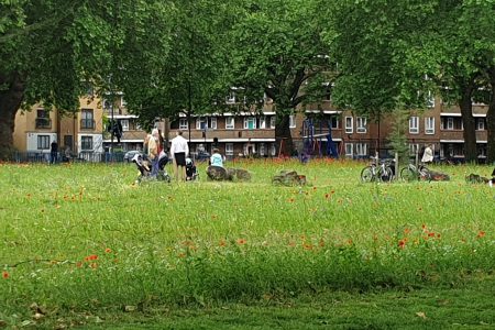 The Parks Alliance supports World Urban Parks statement on COVID19 – Parks In a Time of Crisis